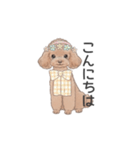 トイプードル ブラウン（使いやすい敬語）（個別スタンプ：2）