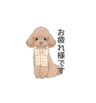 トイプードル ブラウン（使いやすい敬語）（個別スタンプ：6）