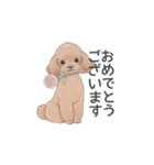 トイプードル ブラウン（使いやすい敬語）（個別スタンプ：7）