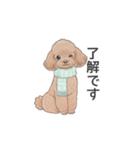 トイプードル ブラウン（使いやすい敬語）（個別スタンプ：9）