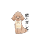 トイプードル ブラウン（使いやすい敬語）（個別スタンプ：15）