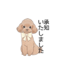 トイプードル ブラウン（使いやすい敬語）（個別スタンプ：16）