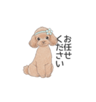 トイプードル ブラウン（使いやすい敬語）（個別スタンプ：17）
