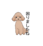 トイプードル ブラウン（使いやすい敬語）（個別スタンプ：18）