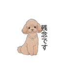 トイプードル ブラウン（使いやすい敬語）（個別スタンプ：21）