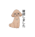 トイプードル ブラウン（使いやすい敬語）（個別スタンプ：22）