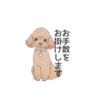 トイプードル ブラウン（使いやすい敬語）（個別スタンプ：24）