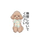 トイプードル ブラウン（使いやすい敬語）（個別スタンプ：25）