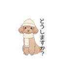 トイプードル ブラウン（使いやすい敬語）（個別スタンプ：26）