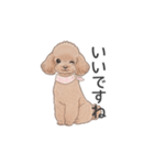 トイプードル ブラウン（使いやすい敬語）（個別スタンプ：28）