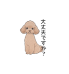 トイプードル ブラウン（使いやすい敬語）（個別スタンプ：29）