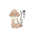 トイプードル ブラウン（使いやすい敬語）（個別スタンプ：30）