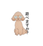 トイプードル ブラウン（使いやすい敬語）（個別スタンプ：31）
