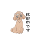 トイプードル ブラウン（使いやすい敬語）（個別スタンプ：34）