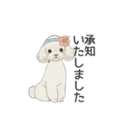 トイプードル ホワイト（使いやすい敬語）（個別スタンプ：5）