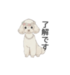 トイプードル ホワイト（使いやすい敬語）（個別スタンプ：6）