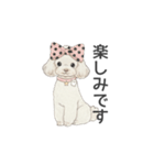 トイプードル ホワイト（使いやすい敬語）（個別スタンプ：7）