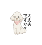 トイプードル ホワイト（使いやすい敬語）（個別スタンプ：9）