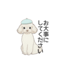 トイプードル ホワイト（使いやすい敬語）（個別スタンプ：10）