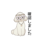 トイプードル ホワイト（使いやすい敬語）（個別スタンプ：15）