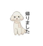 トイプードル ホワイト（使いやすい敬語）（個別スタンプ：18）