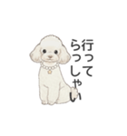 トイプードル ホワイト（使いやすい敬語）（個別スタンプ：19）