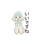 トイプードル ホワイト（使いやすい敬語）（個別スタンプ：24）
