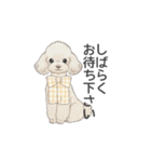 トイプードル ホワイト（使いやすい敬語）（個別スタンプ：25）