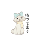 トイプードル ホワイト（使いやすい敬語）（個別スタンプ：26）