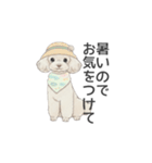 トイプードル ホワイト（使いやすい敬語）（個別スタンプ：27）