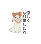 トイプードル ホワイト（使いやすい敬語）（個別スタンプ：28）