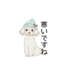 トイプードル ホワイト（使いやすい敬語）（個別スタンプ：29）