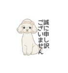 トイプードル ホワイト（使いやすい敬語）（個別スタンプ：32）