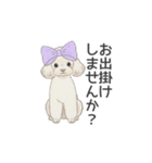 トイプードル ホワイト（使いやすい敬語）（個別スタンプ：34）