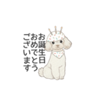 トイプードル ホワイト（使いやすい敬語）（個別スタンプ：35）