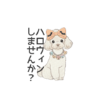 トイプードル ホワイト（使いやすい敬語）（個別スタンプ：37）