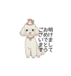 トイプードル ホワイト（使いやすい敬語）（個別スタンプ：39）