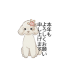 トイプードル ホワイト（使いやすい敬語）（個別スタンプ：40）