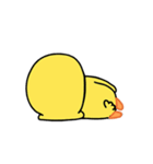 くちばしぽってりヒヨコたち（個別スタンプ：21）
