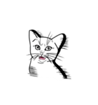 日常の猫ねこネコ（個別スタンプ：11）