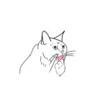 日常の猫ねこネコ（個別スタンプ：12）