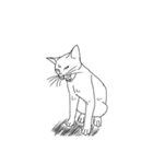 日常の猫ねこネコ（個別スタンプ：13）