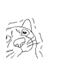 日常の猫ねこネコ（個別スタンプ：15）