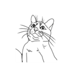 日常の猫ねこネコ（個別スタンプ：20）