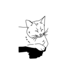 日常の猫ねこネコ（個別スタンプ：21）