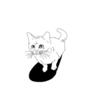 日常の猫ねこネコ（個別スタンプ：29）