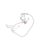 日常の猫ねこネコ（個別スタンプ：31）