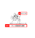 日常の猫ねこネコ（個別スタンプ：40）