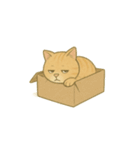 社畜厭世ネコ (しゃちくえんせいネコ)（個別スタンプ：27）