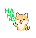 豆柴のスタンプ shiba dog stamp（個別スタンプ：8）